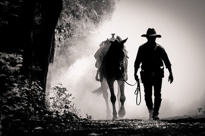 Tablou decorativ - Cowboy Elegance
