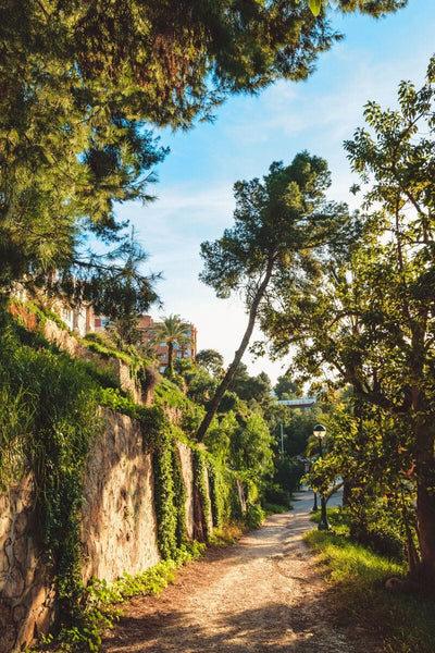 Tablou decorativ - Pathway