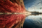 Tablou Canvas - Reflexie Abstracta