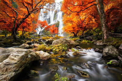 Tablou decorativ - Peisaj de Toamna la Cascada
