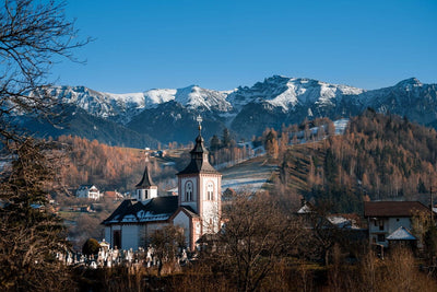 Tablou decorativ - Moieciu Brașov