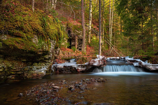 Intalnirea anotimpurilor