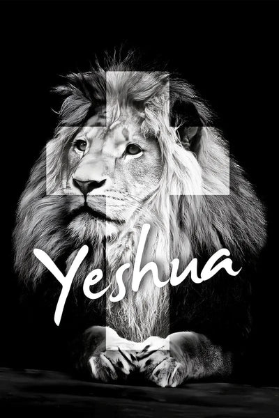 Tablou decorativ - Jeshua