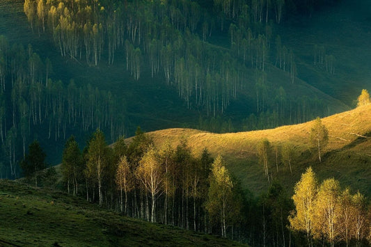 Răsărit la Dumești - Poză realizată pe dealurile din Dumești, jud. Alba
