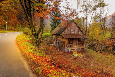 Tablou decorativ - Valea Iadului