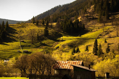 Tablou decorativ - Bucovina de Poveste