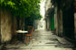 Tablou Canvas - Strada la Tara