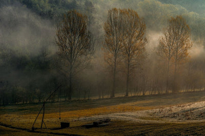 Tablou decorativ - Ceata de Toamna
