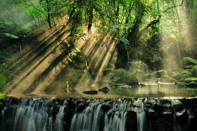 Tablou decorativ - Raze pe Cascada