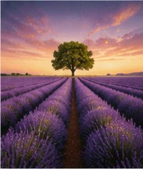 Tablou decorativ - Lan de lavanda la apus