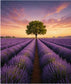 Tablou decorativ lan de lavanda la apus