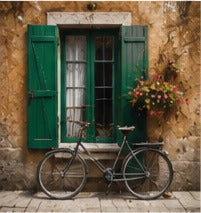 Tablou decorativ - Fereastra cu obloane verzi