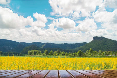 Tablou decorativ - Camp cu flori galbene