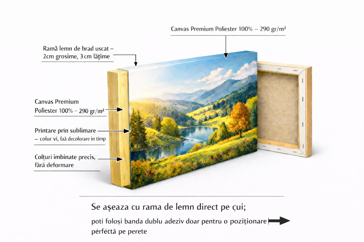 Icoana   - Sfântul Fanurie în fața flăcărilor