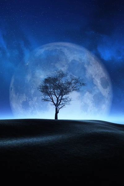 Tablou decorativ - Copacul la Luna Plina