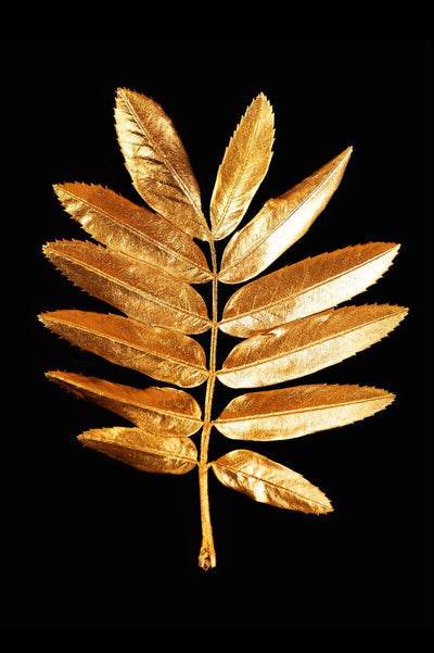 Tablou decorativ - Gold Leaf