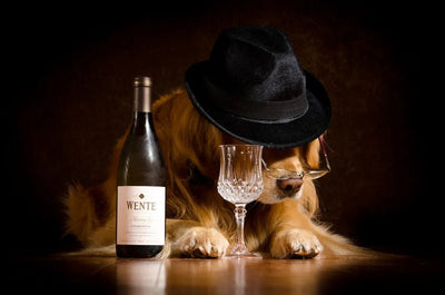 Tablou decorativ - Iubitorul de Vin