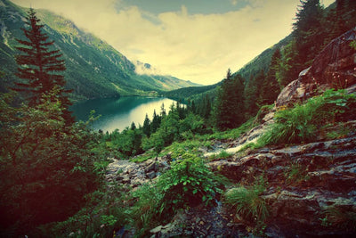 Tablou decorativ - Lacul Printre Munti