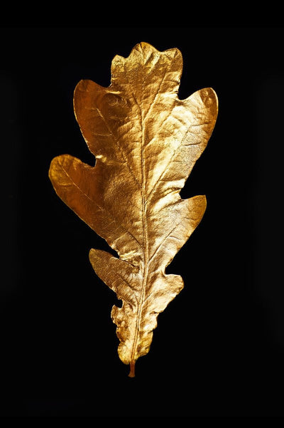 Tablou decorativ - Leaf Gold