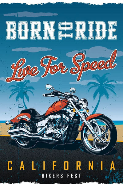 Tablou decorativ - Love for Speed