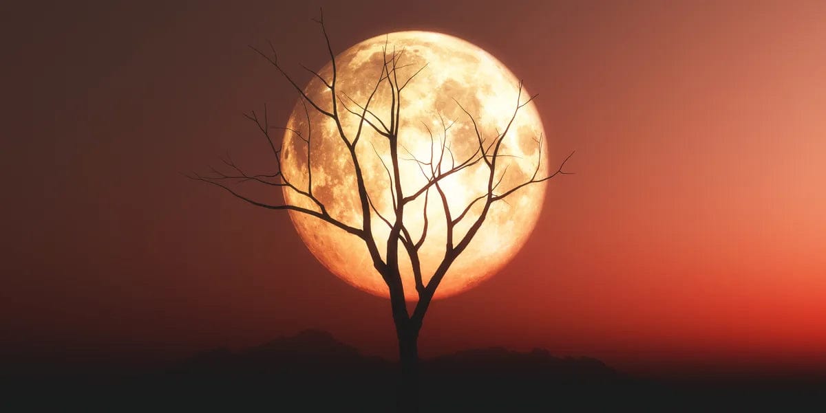 Tablou Canvas - Luna Plina pe Cerul Rosu