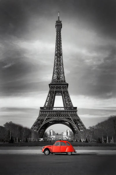 Tablou decorativ - Masina Rosie in Paris