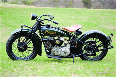 Tablou decorativ - Moto pe Iarba