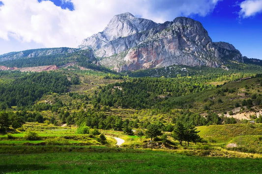 Tablou Canvas - Munții Pirinei