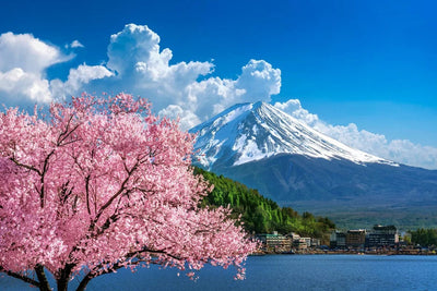 Tablou decorativ - Muntele Fuji si Florile de Sakura