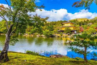 Tablou decorativ - Peisaj Japonia