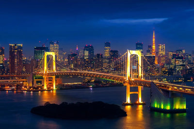 Tablou decorativ - Podul din Tokyo