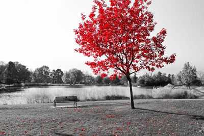 Tablou decorativ - Red Tree