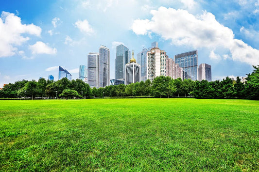 Tablou Canvas - Eleganta Naturii in Shanghai Forest Park