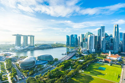 Tablou decorativ - Peisaj Urban Singapore