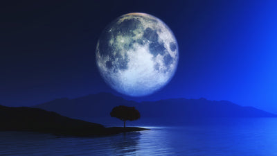 Tablou decorativ - Sub clar de luna 2