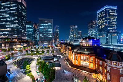 Tablou decorativ - Viziune Tokyo