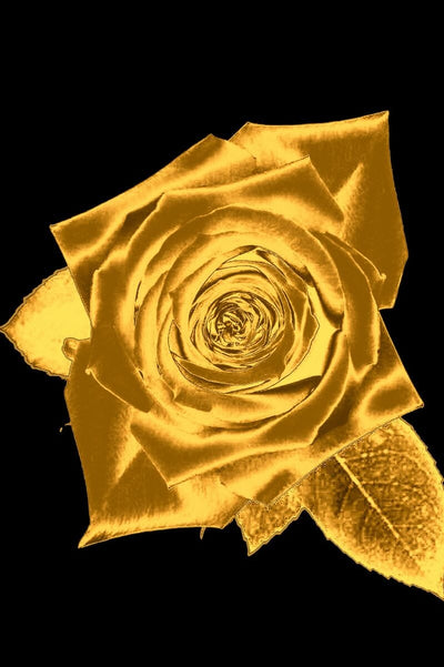 Tablou decorativ - Trandafir Gold