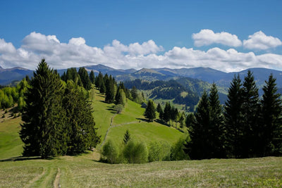 Tablou decorativ - Amfiteatrul Transilvania