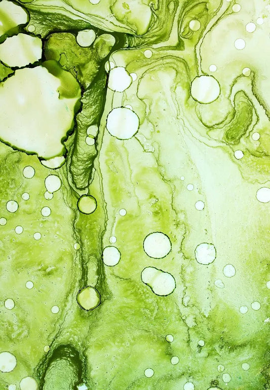 Tablou Canvas - Eleganta Abstracta Cerneala Verde