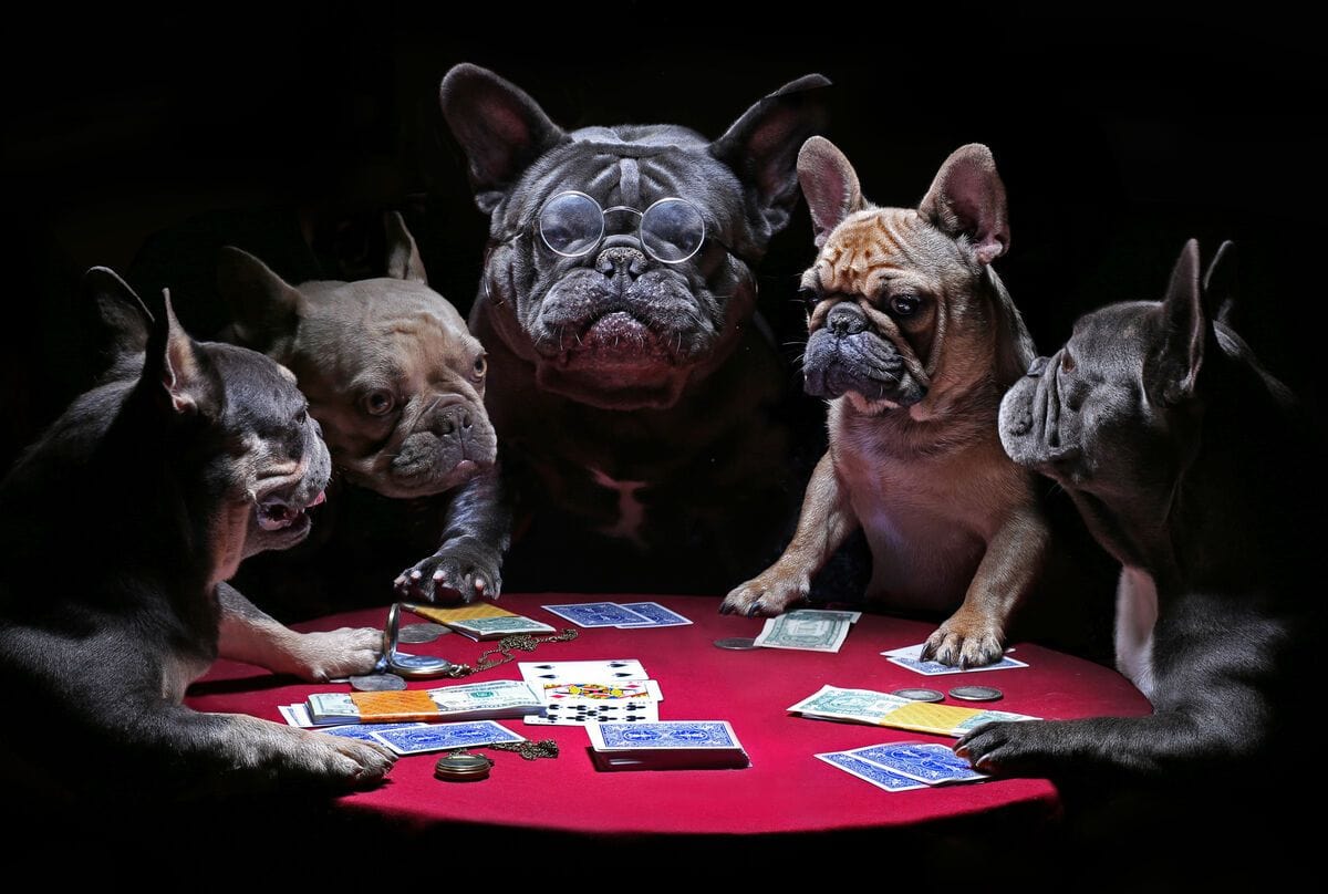 Poker intre dulai