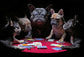 Poker intre dulai
