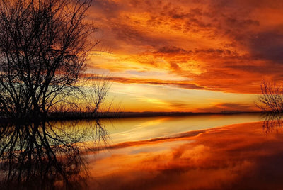 Tablou decorativ - The sky on fire