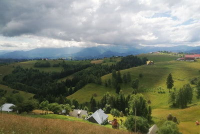Tablou decorativ - Colinele Transilvaniei