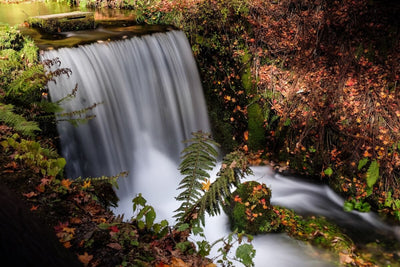 Tablou decorativ - Rau in cascada