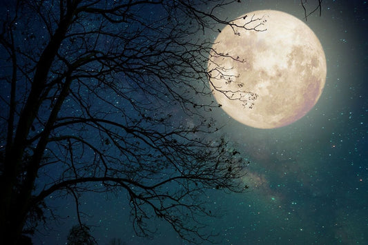 Luna printre crengi 2