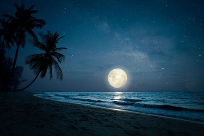 Tablou decorativ - Luna pe Plaja