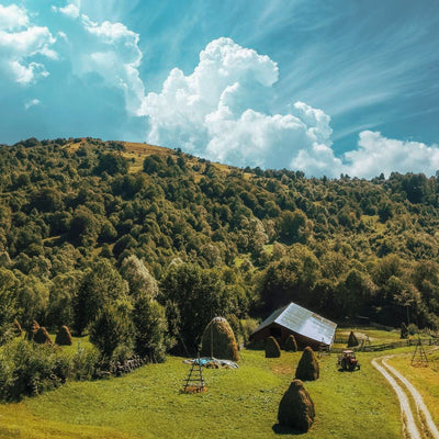 Tablou decorativ - Ferma la Munte, Andrei Aroiu