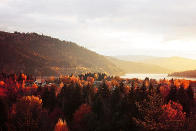 Tablou decorativ - Lacul Bicaz de Mirela Popescu