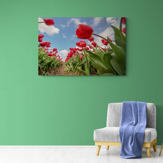 Tablou Canvas - Eleganta Florala Flori 201