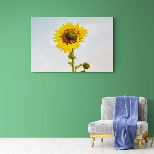 Tablou Canvas - Eleganta Florala Flori 206